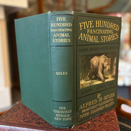 Five Hundred Fascinating Animal Stories | Alfred H. Miles | Illustrated Natural History Volume