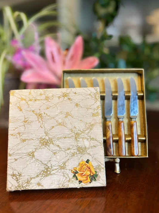 Vintage “Dinkee” Knife Set in Original Box | Mid-Century Butter & Fruit Spreaders | Marbled Bakelite Handles (Set of 6)