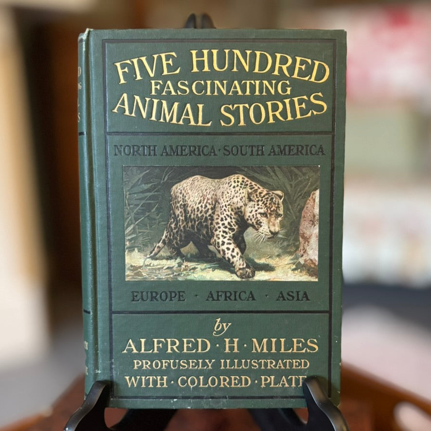 Five Hundred Fascinating Animal Stories | Alfred H. Miles | Illustrated Natural History Volume