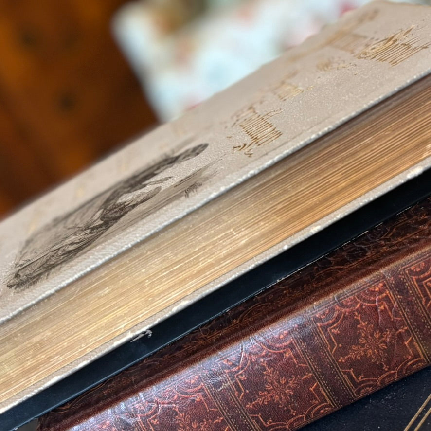 Antique Swiss Illustrated Book Berner Erzählungen by Jeremias Gotthelf
