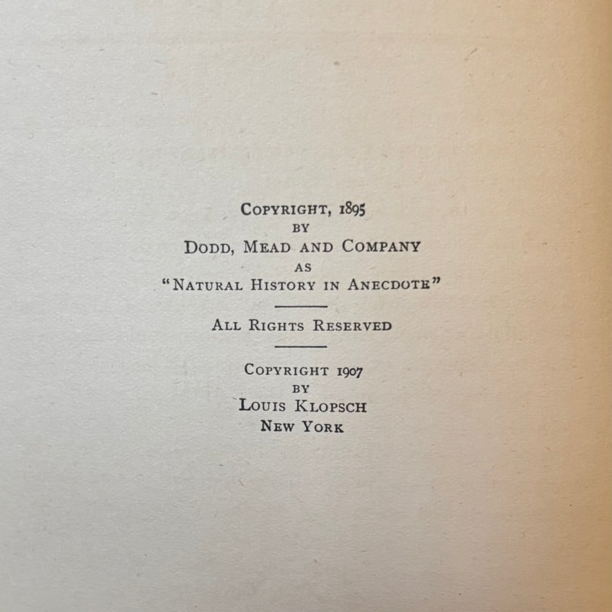 Five Hundred Fascinating Animal Stories | Alfred H. Miles | Illustrated Natural History Volume