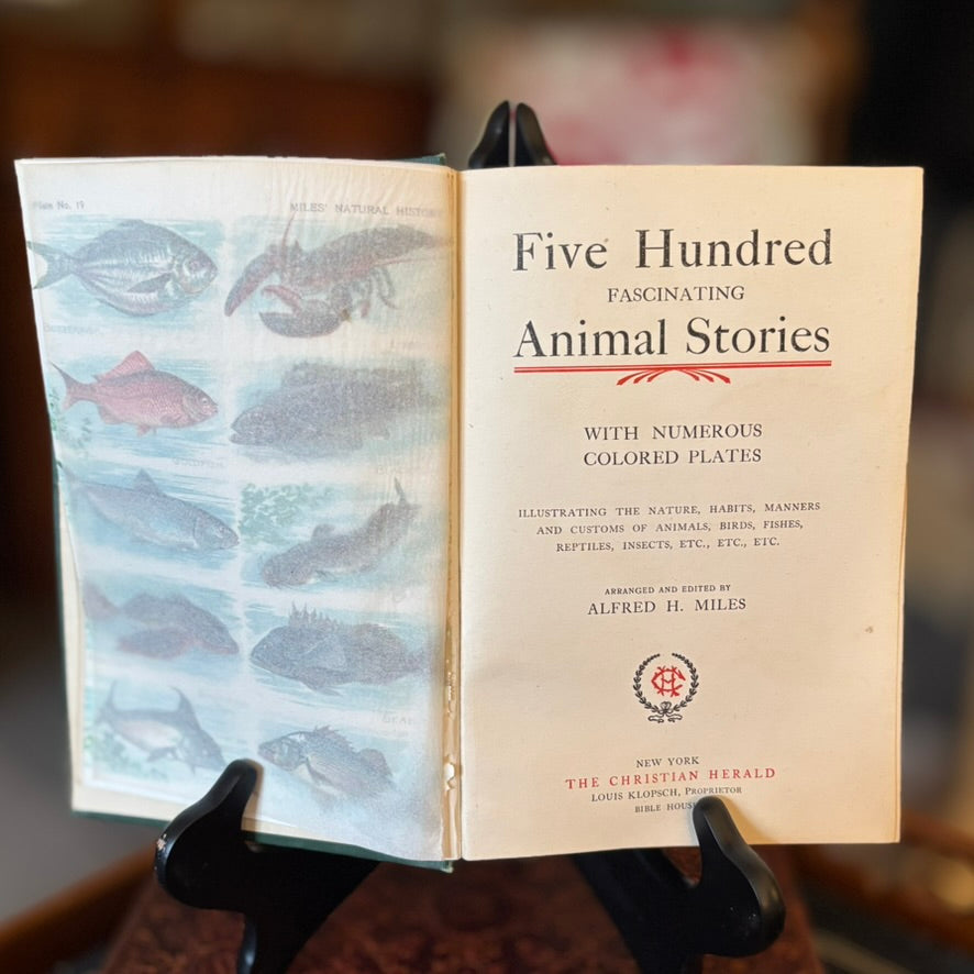 Five Hundred Fascinating Animal Stories | Alfred H. Miles | Illustrated Natural History Volume