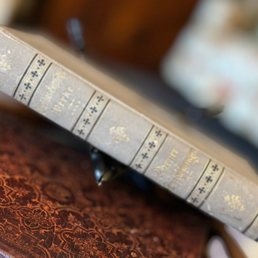 Antique Swiss Illustrated Book Berner Erzählungen by Jeremias Gotthelf