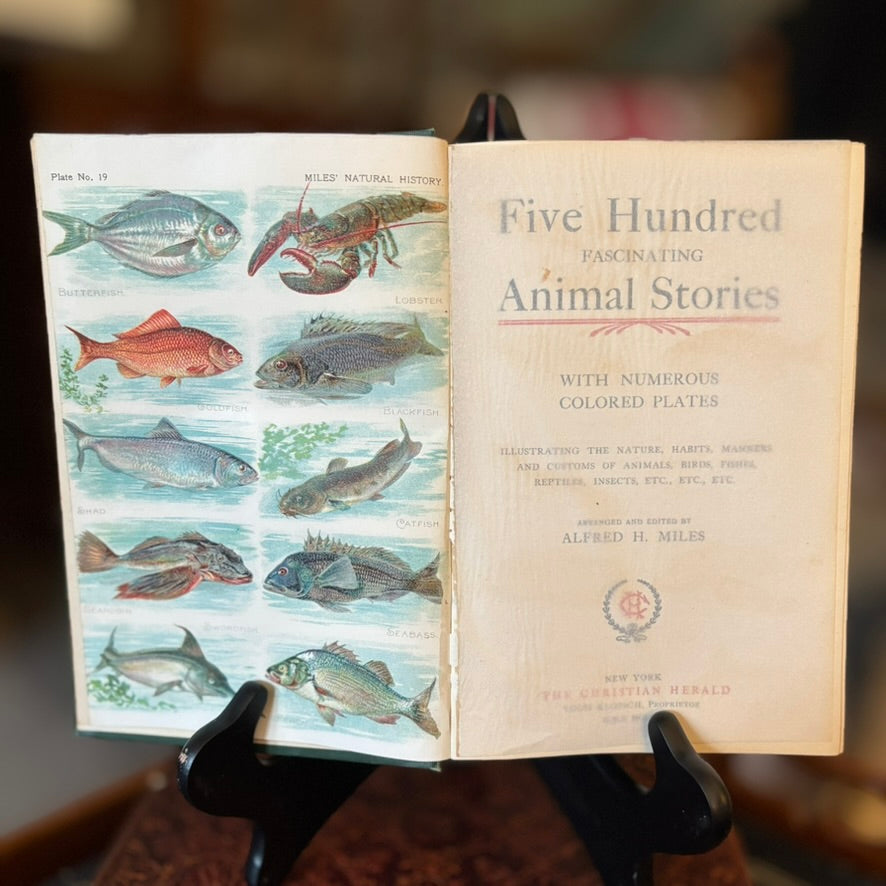 Five Hundred Fascinating Animal Stories | Alfred H. Miles | Illustrated Natural History Volume