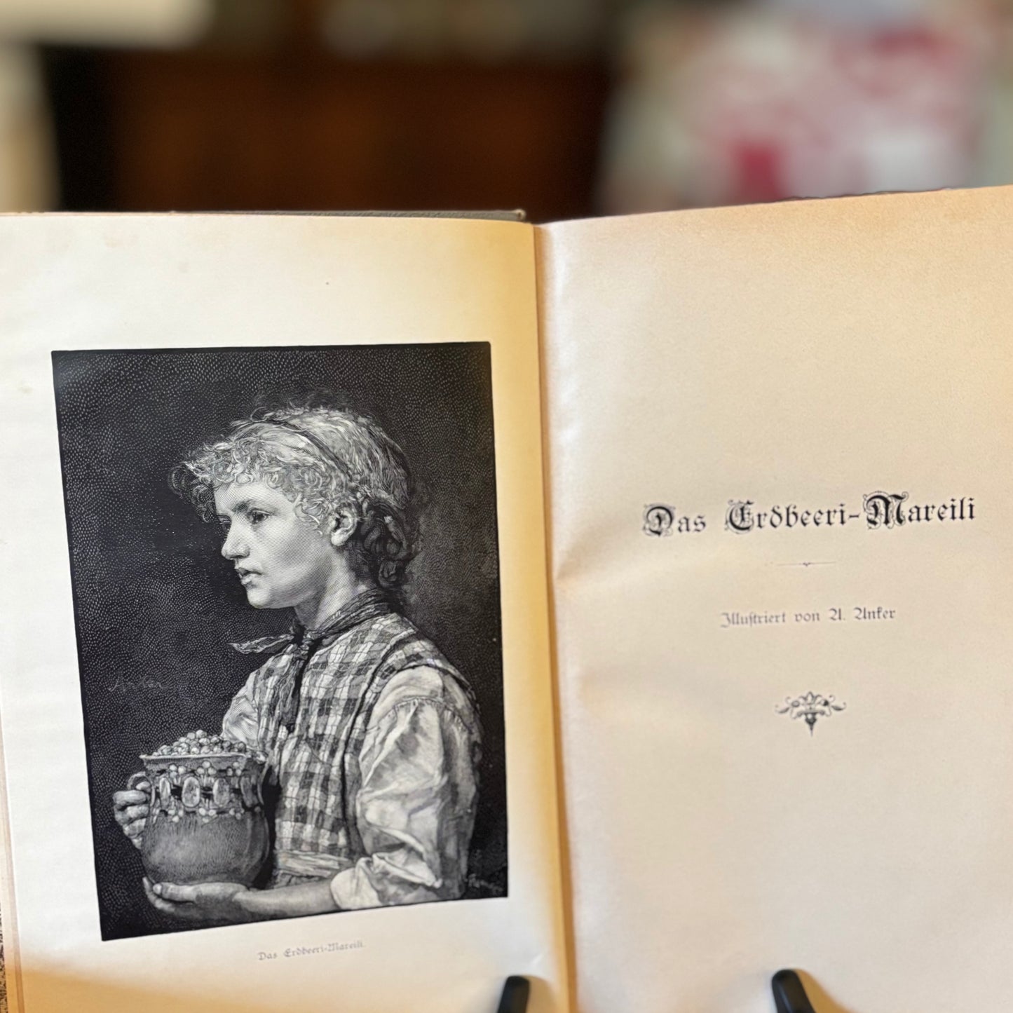 Antique Swiss Illustrated Book Berner Erzählungen by Jeremias Gotthelf