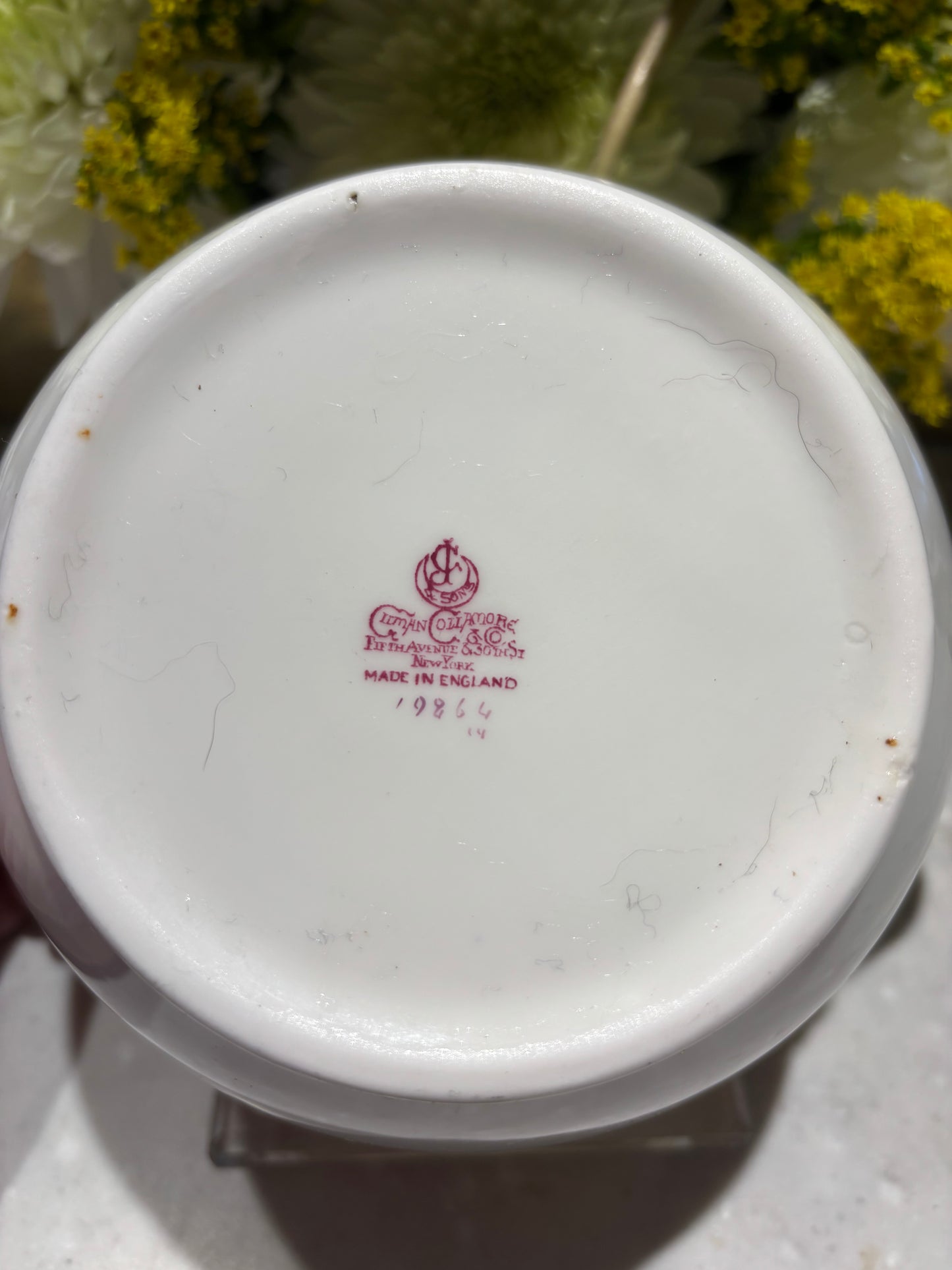 Vintage Coalport Bone China Pitcher with Raised Gilt Detail | England