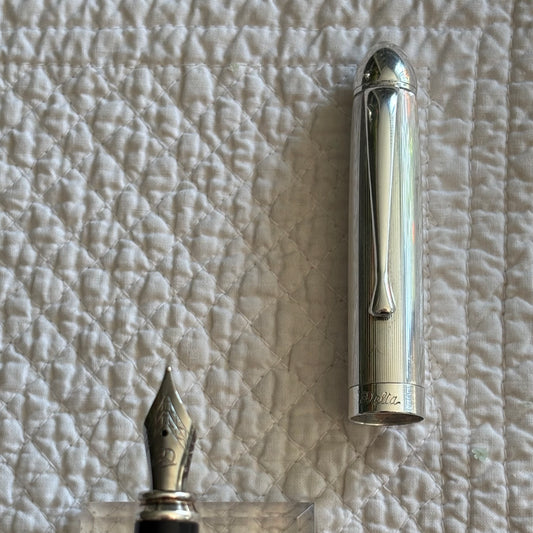 Delta “Graffiti” Fountain Pen | Sterling Silver Cap | Medium Nib | Italy